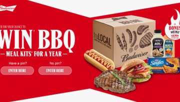 Budweiser BBQ Boxes for a Year Contest